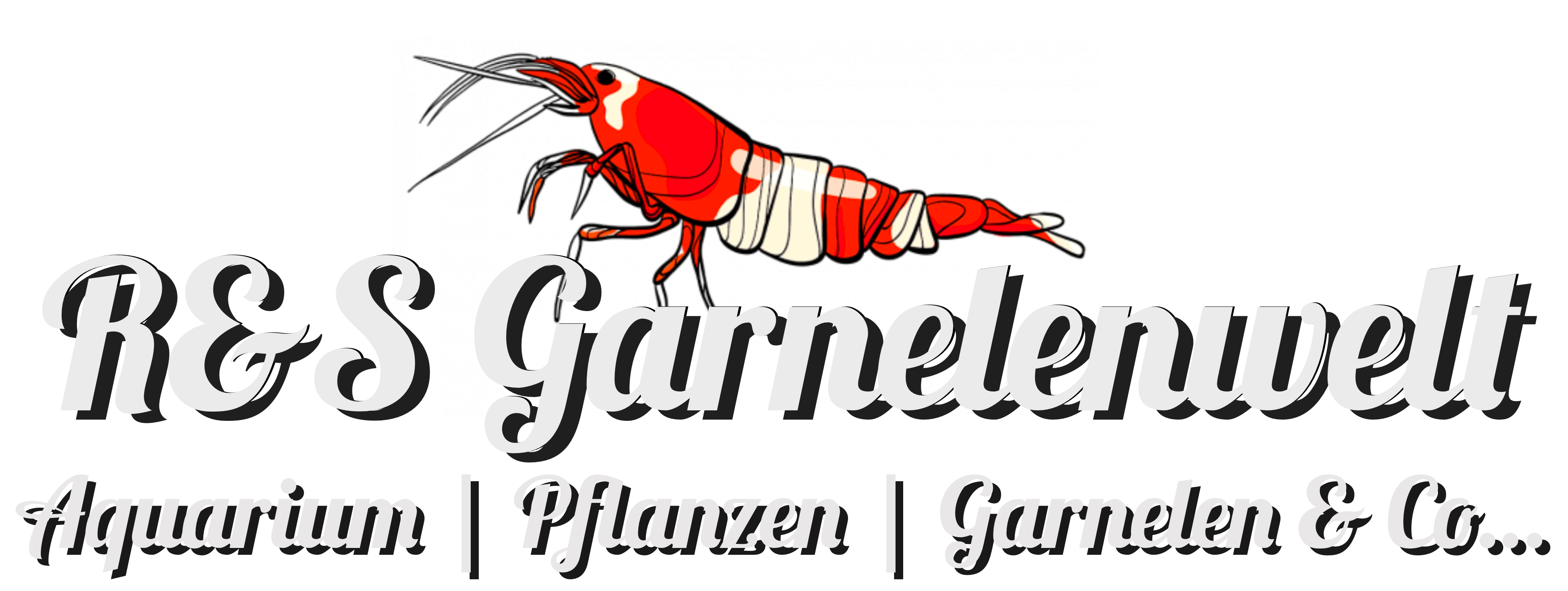 R&S Garnelenwelt | Aquarien | Pflanzen | Garnelen & Co.